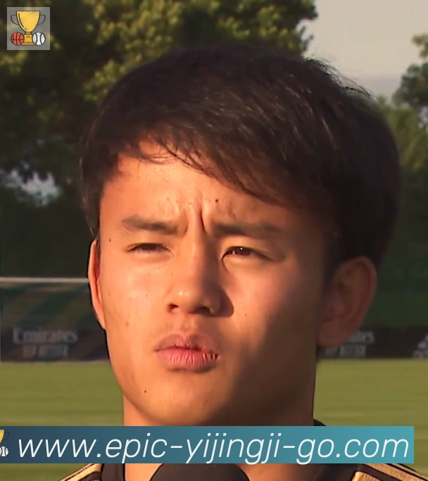 维尼修斯